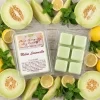 Cera di soia profumata al melone e limoncello 3,5 oz (103 g)