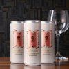 Frizzante bianco - PINOT NERO 250ml, lattina per minibar