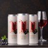 Frizzante rosso - RIBES NERO 250 ml, lattina da minibar