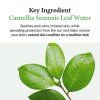 Dr. Althea Pro Lab Green Tea Fresh Sunscreen - Crema solare per il viso SPF50, 45 ml