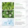 Dr. Althea Pro Lab Green Tea Fresh Sunscreen - Crema solare per il viso SPF50, 45 ml