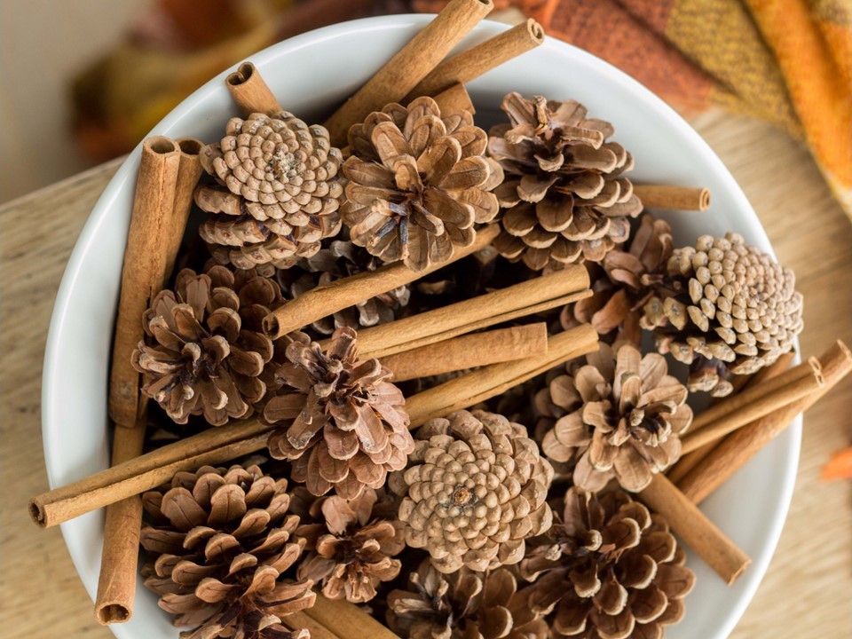 Škorica a borovicové šišky (CINNAMON AND PINE CONES)