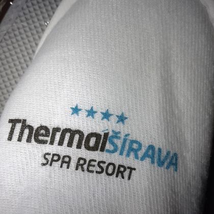 Logo imprimat gratuit (1–2 culori)