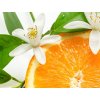 Citrus Blossom