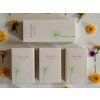 wellspa spolu2 Photoroom
