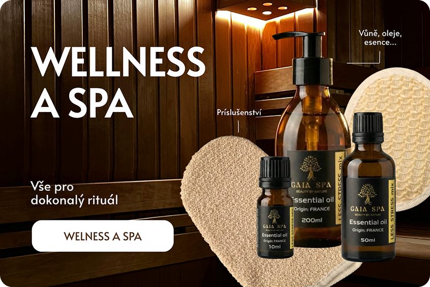 Wellness a spa
