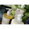 1281 2 1281 2 evergreen particolare dispenser web