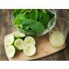 1593 2 1593 2 limetkovy strik lime spritzer