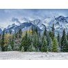 1686 2 1686 2 septajuce borovice whispering pines kopia kopirovat