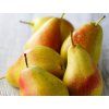 1797 2 1797 2 pears 410x290