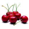 2043 2043 morello cherry