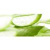 2100 4 2100 4 slides aloevera03
