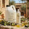 2777 2 2777 2 oliva lotion5 resized