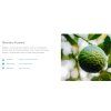 7682 7682 kondicioner 5l bio hemp kanistr