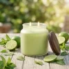 Duftende Sojakerze  LIMETSPRITZER    (LIME SPRITZER) 16 oz (454g)