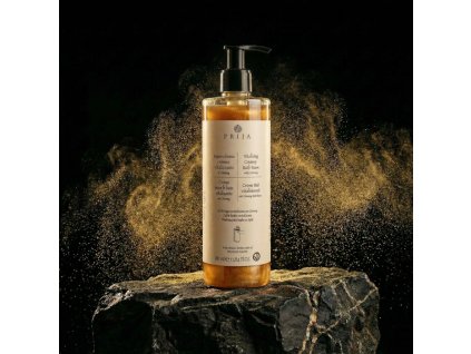 PRIJA PENA HOTEL resized