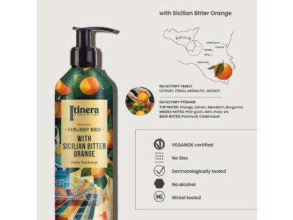 P350MNTITN 2 Photoroom