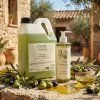 oliva soap5 resized