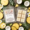 Ceară de soia parfumată Pina Colada (PINA COLADA) 3,5oz (103g)
