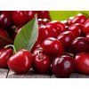 divoká čerešňa wild cherry