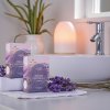 Săpun solid în cutie 100g LAVENDER TIHANY