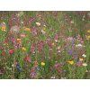 Saună esență 250ml PAJIȘCA FLORILOR (FLOWER MEADOW) - GAIA SPA