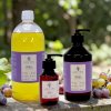 Ulei pentru masaj corporal Struguri (Grape) 1L - GAIA SPA