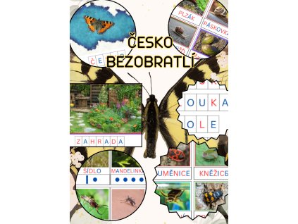 Bezobratlí z Česka