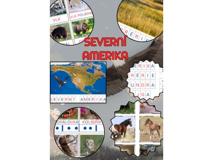 Zvířata Severní Ameriky