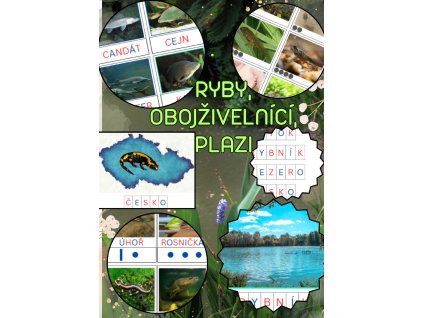 Ryby, obojživelníci a plazi