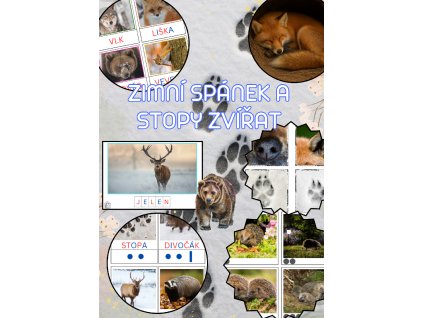 Zimní spánek a stopy zvířat