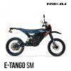rieju motard