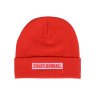 2596 34031 beanie low key