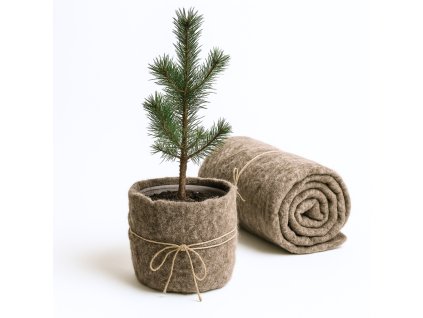 100% Bio-Schafwolle 250 g/m², 80 × 500 cm, braun