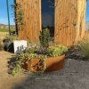 Cortenstahl Baumumrandung als rundes Blumenbeet
