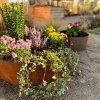 Bepflanzte Baumumrandung aus Cortenstahl im Garten