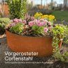 Bepflanzter Cortenstahl Pflanzring im Garten