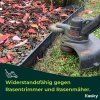 beetumrandungen