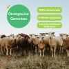 Eigenschaften einer natürlichen Schafwoll-Mulchscheibe