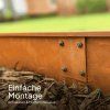 CORTEN RIM SPIKES Border DE