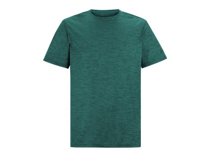 Panske tricko REGATTA RMT237 ZM7