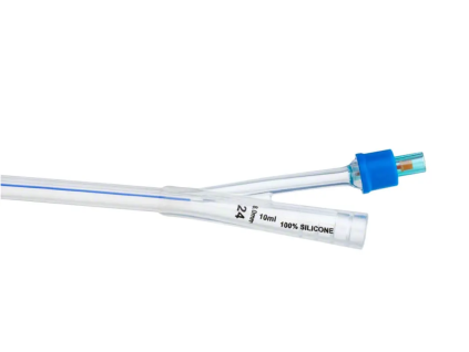CFNS 2D 24 10 P
