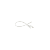 CFNS 2D 12 10 P