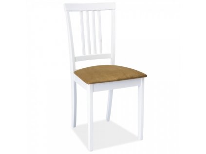 Jídelní židle Patricia / bílá