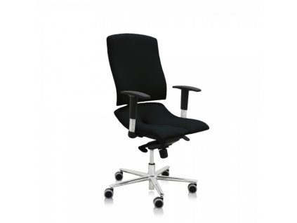 Zdravotní židle Steel Standard+ / černá