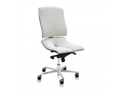 Zdravotní židle Steel Standard / bílá