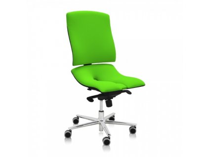 Zdravotní židle Steel Standard / zelená