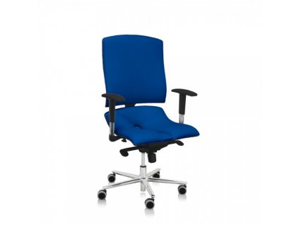 Zdravotní židle Steel Standard+ II / modrá