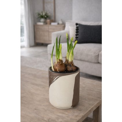 BBA52D6F F626 4B8C BE8B AD96BAFFD550