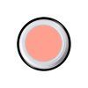 SW 09 Orange